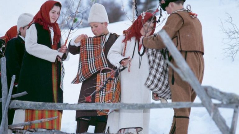 ... или пернишко сурвакане в село Кошарево