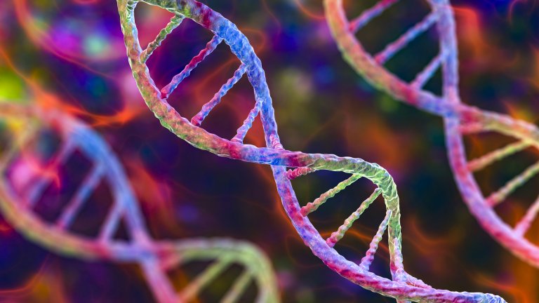 До момента 8% от генетичната информация оставаше скрита, сега учените вече имат представа
