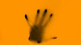 okeykat-2XFt_vsp4Uc-unsplash