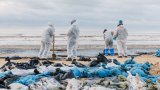 Курортът Анапа е пред фалит заради петролния разлив от декември