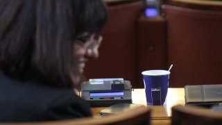 гласуване,народно събрание,парламент