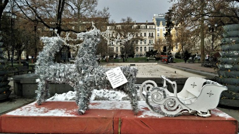 Внимание! По елените тече ток. Вижте още снимки в галерията.