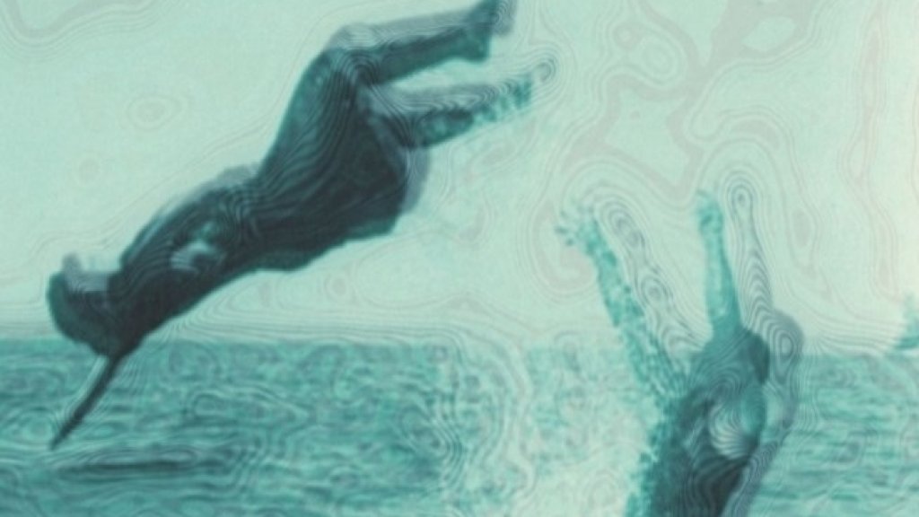 Screenshot_1