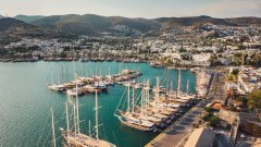 Щетите се оценяват за над 100 млн. долара (снимката е илюстративна)