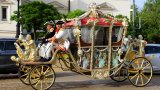 Калцуневият хайлайф на българския елит