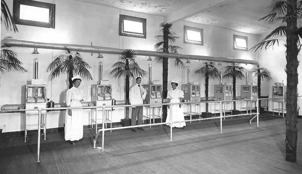 Baby_incubator_exhibit,_A-Y-P,_1909
