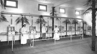 Baby_incubator_exhibit,_A-Y-P,_1909