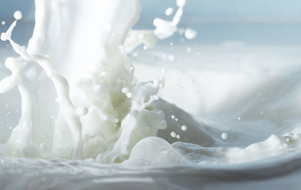 Milk