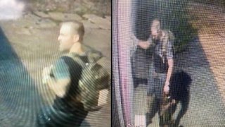 florida-man-stealing-cat-blood