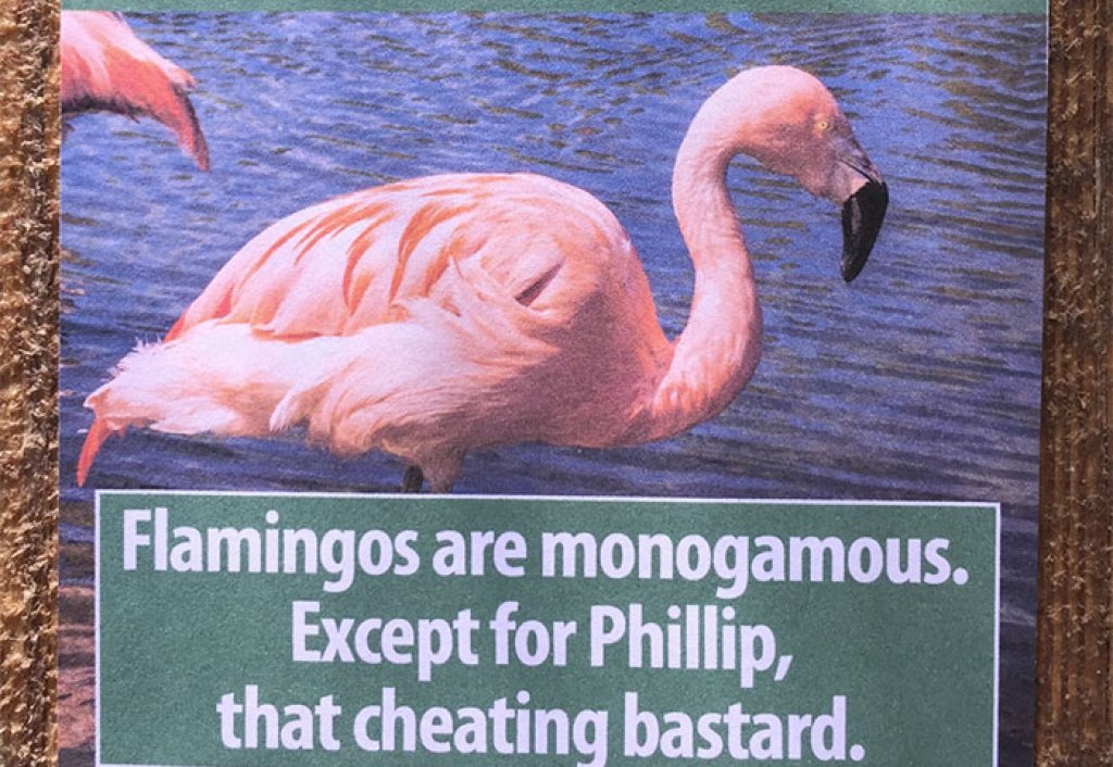 funny-animal-facts-fake-los-angeles-zoo-obvious-plant-9-577674527364e__700