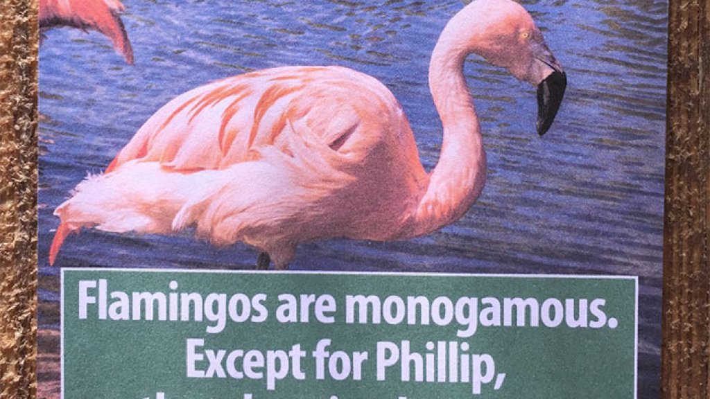 funny-animal-facts-fake-los-angeles-zoo-obvious-plant-9-577674527364e__700