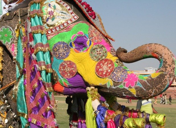 Фестивалът на слоновете (Elephant Festival) се провежда всяка година в Джайпур, Индия