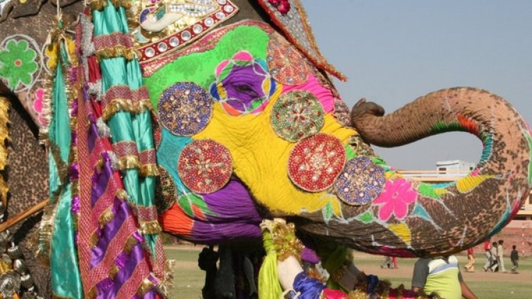 Фестивалът на слоновете (Elephant Festival) се провежда всяка година в Джайпур, Индия