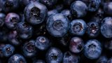 joanna-kosinska-eVQBXxeCre4-unsplash