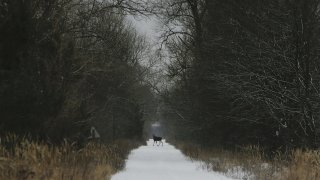Чернобил