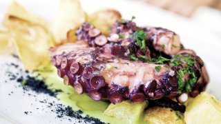 close-up-cuisine-delicious