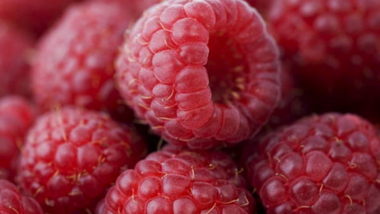 Малини - 52 калори / 100 гр.
Много проучвания показват, че увеличаването на консумацията на растителни храни като малини намалява риска от затлъстяване, диабет, сърдечно-съдови заболявания, както и общата смъртност.
Малините са богати на калий, благодарение на който поддържат сърцето здраво. Така се намалява и риска от исхемичен инсулт.
Имат и много фибри, които спомагат за поддържането на стабилни нива на кръвната захар и така рискът от диабет драстично намалява.
Доказано е, че повишеният прием на фибри понижава кръвното налягане, нивата на холестерола и спомага за загубата на тегло и борбата с наднормено такова.