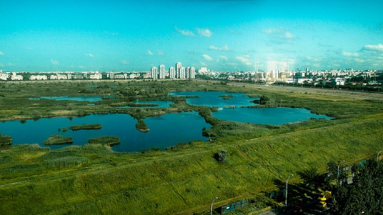 Това е най-богатият и див парк в Букурещ, но изобщо не е било планирано да съществува. 
 През комунизма, плановете са били Вакарещи да бъде напълнено с вода, за да захранва бъдещи огромни жилищни квартали, каквито Чаушеску вижда в Пхенян, Северна Корея.
 В началото на новото хилядолетие мястото отново е набелязано за строителен проект: този път там е трябвало да има хиподрум, казина, хотел и голф-игрище.