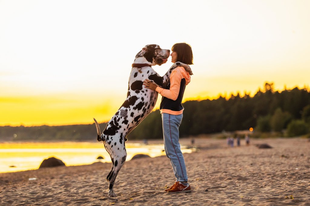 Те изискват точно толкова грижа, колкото и по-малките