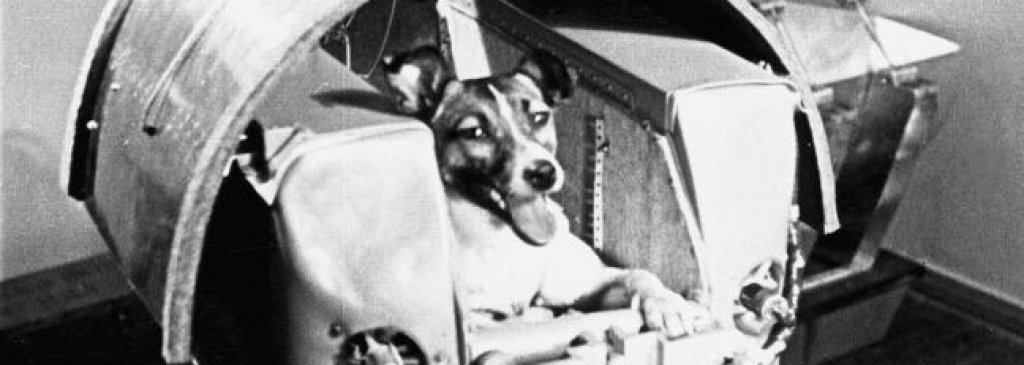 on-this-day-laika-the-dog-makes-space-history-136401421443103901-151103001005