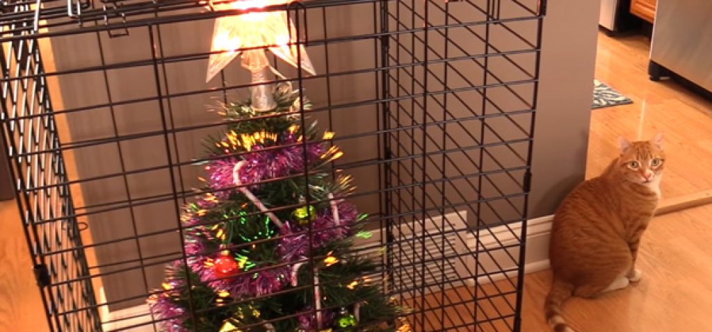 protecting-christmas-tree-from-dogs-cats-pets-4-585a611c97b73__605