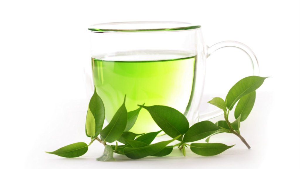 green-tea-plant