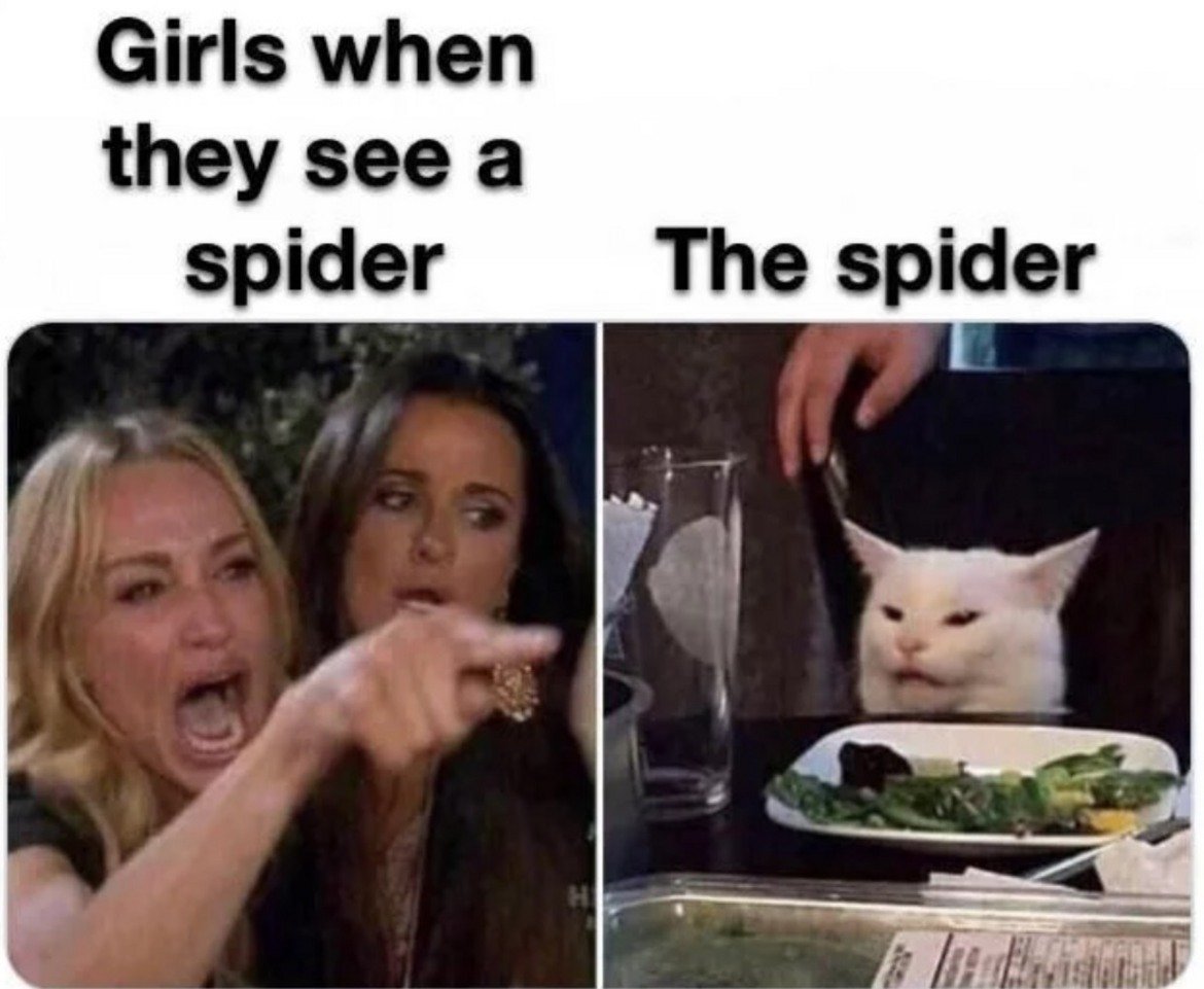 1. Момичетата, когато видят паяк...
2. Паякът