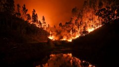 Стотици пожарникари се борят с огнената стихия