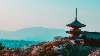 pexels-photo-402028