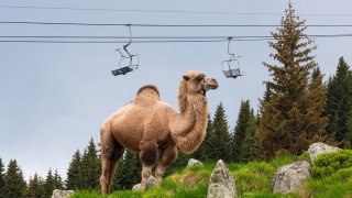 Две лета в България абсурдът е на ниво, което обещава нови висоти в бъдеше