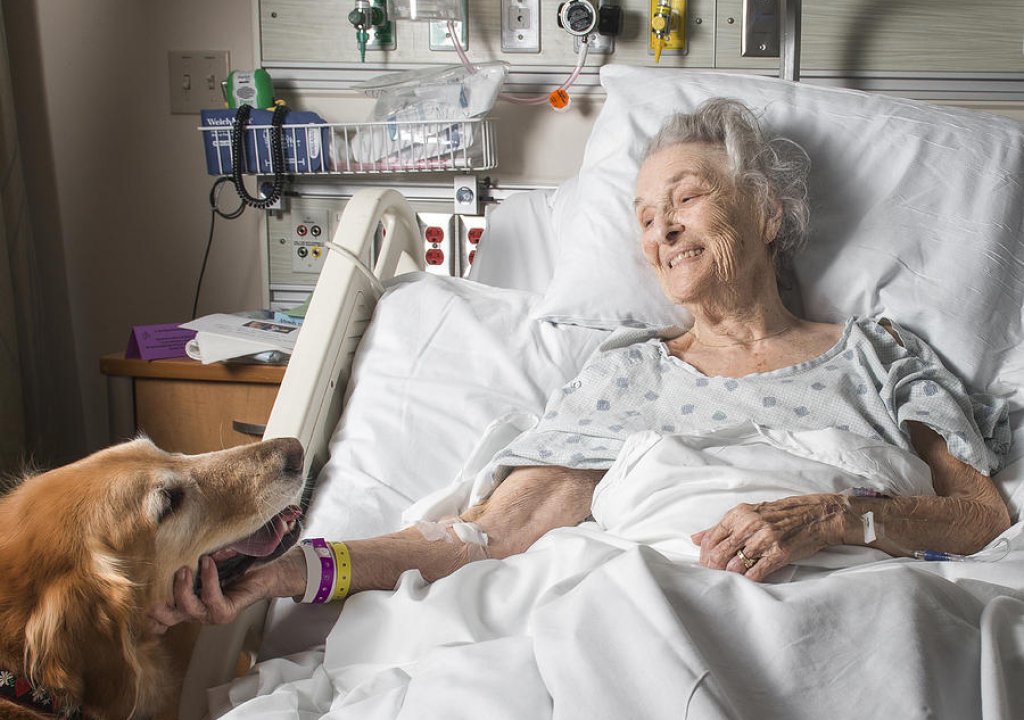 възрастна жена, болница, куче