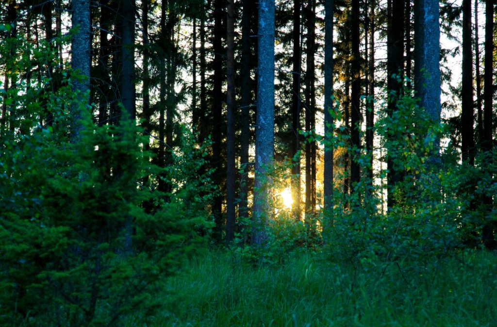 Screenshot_3