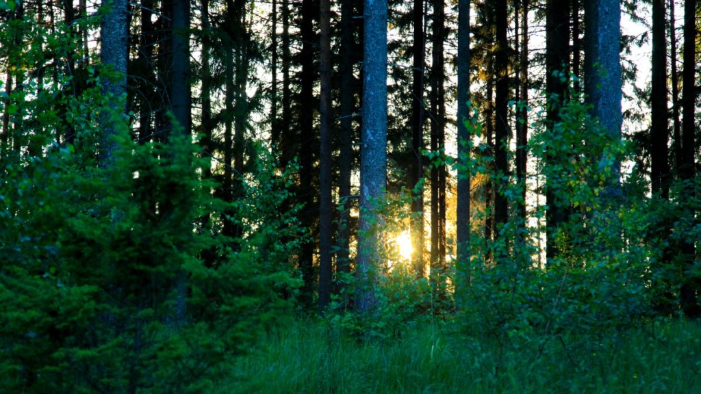 Screenshot_3