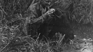 Grey_owl_feeding_beaver_a_jelly_roll