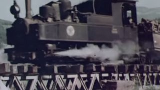 mc