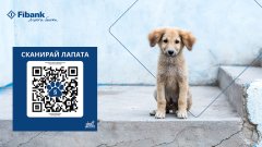 Натрупаният опит показва, че истинската промяна започва много преди самото спасяване