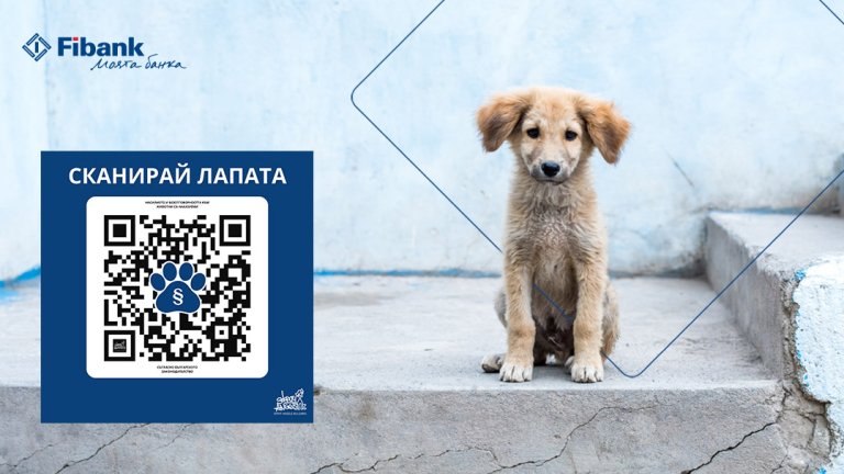 Натрупаният опит показва, че истинската промяна започва много преди самото спасяване