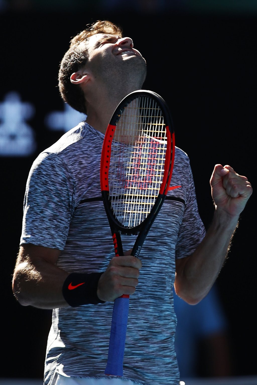 2017 Australian Open - Day 10