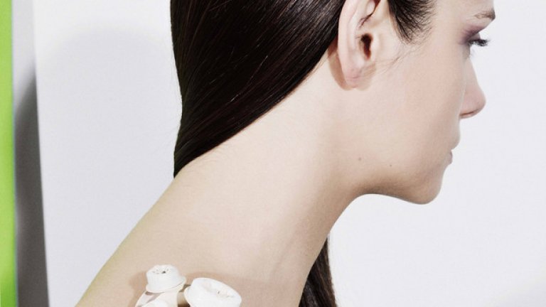 брошка: Велислава Божинова