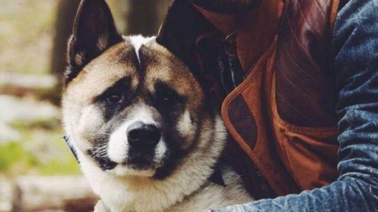 Лъмбърсексуалните са тук