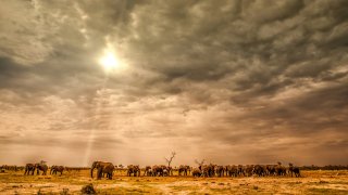 birger-strahl-u1pqt6QI0CY-unsplash