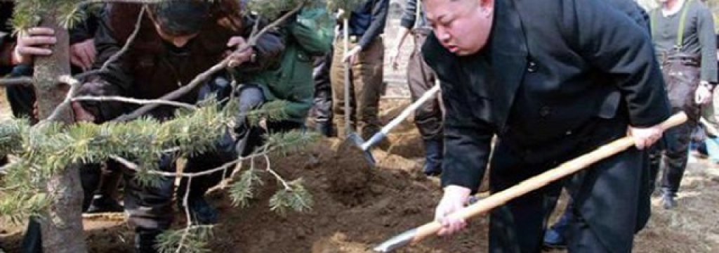 Kim Jong Un plans a pine tree