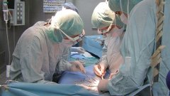 От 10 чернодробни трансплантации на деца, извършени в правителствена болница Лозенец, пет са починали, а две са за ретрансплантация