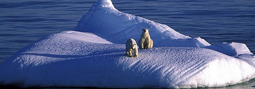 global warming