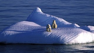 global warming