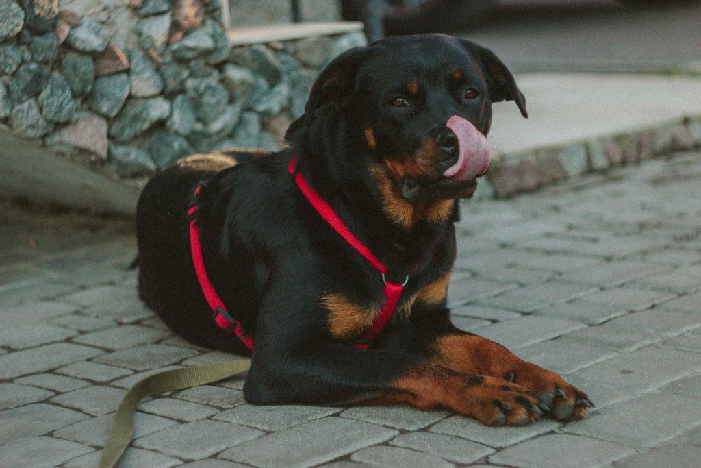pexels-photo-170325
