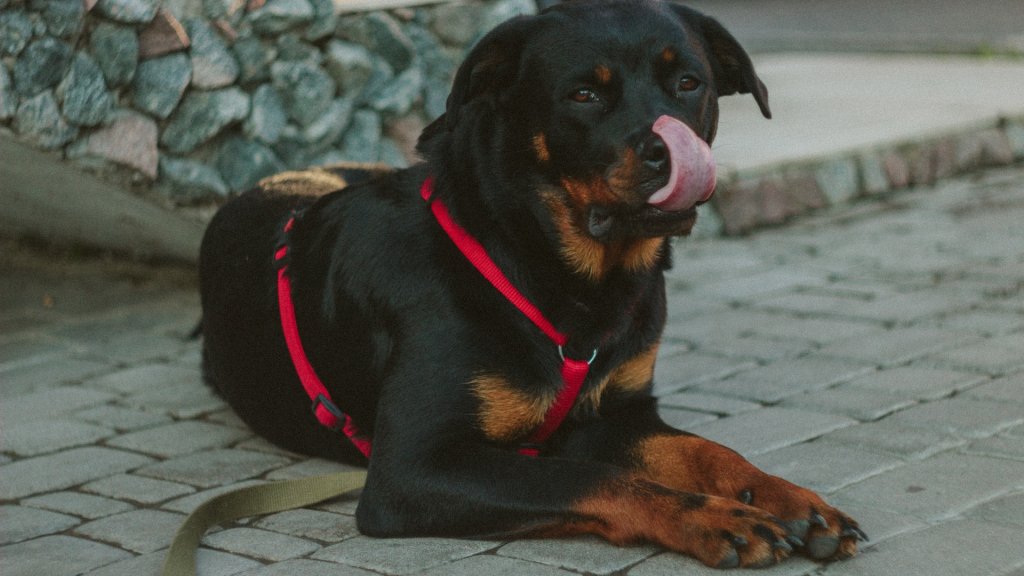 pexels-photo-170325