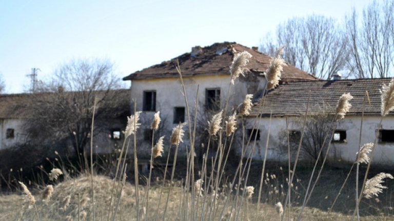 По целия остров има разпръснати селскостопански обекти