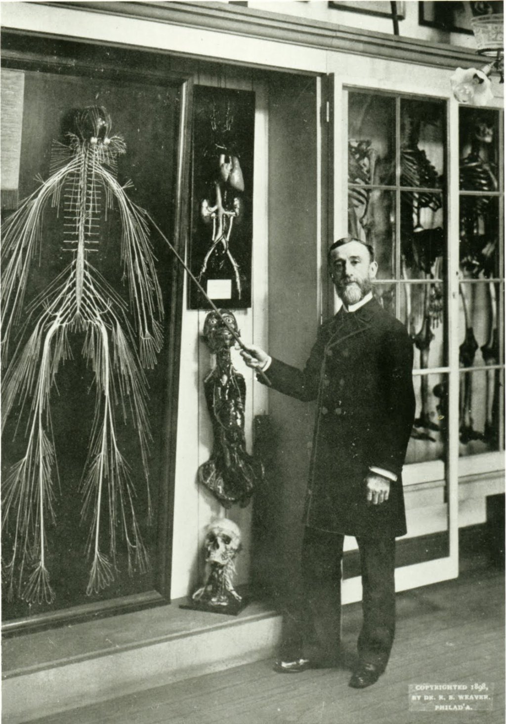 Rufus_B._Waever