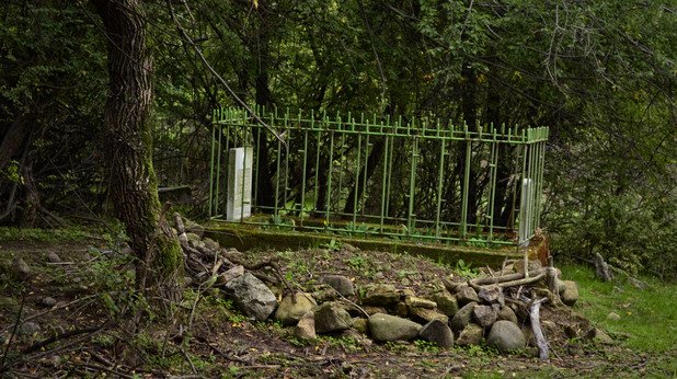 Гробището на Лисиците е скрито сред зелена букова горичка. Само то увеличава популацията си в региона...
